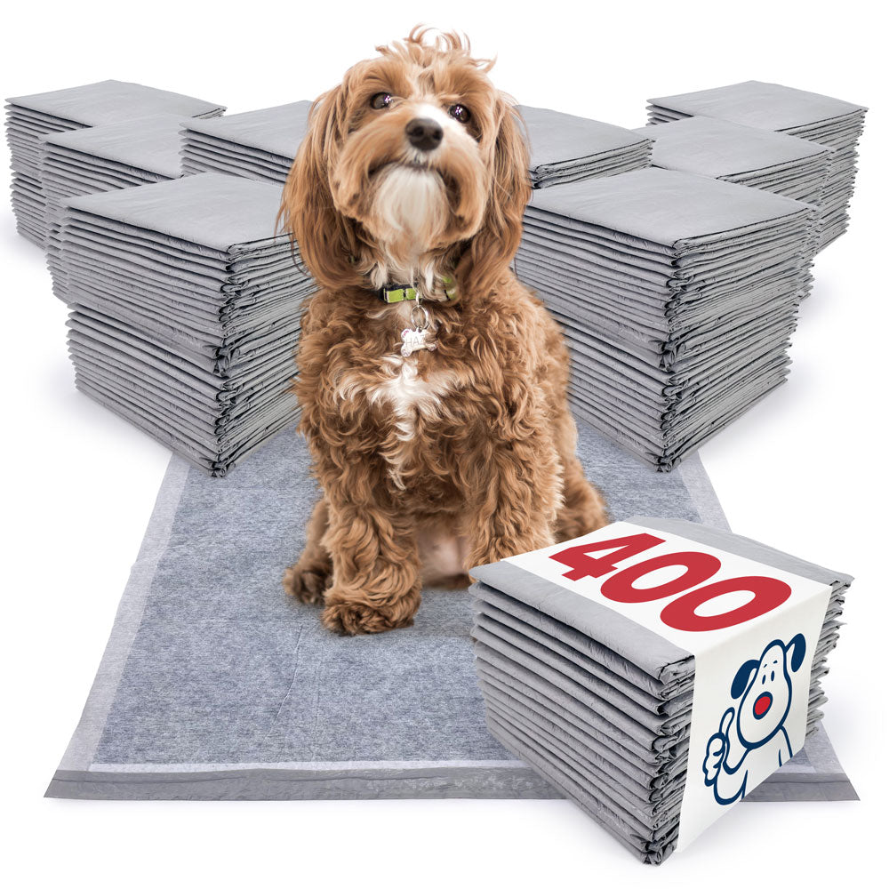 ValuePad Ultra Carbon Puppy Pads, Medium 23x24 Inch, 400 Count BULK PACK - Super Premium Puppy Pee Pads for Dogs, Activated Charcoal, Fast Absorbing Top Sheet, Super Absorbent Gel Core, 5-Layer Design 