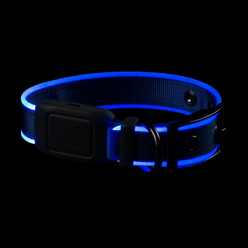 NiteDog Rechargeable LED Dog Collar