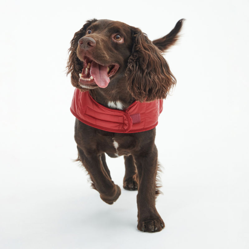 Barbour Baffle Quilted Dog Jacket