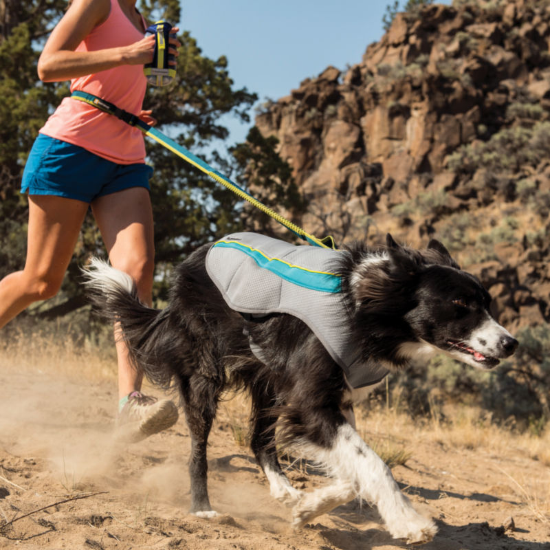 Ruffwear Swamp Cooler Dog Vest